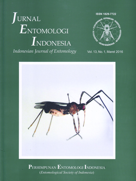 Kunci identifikasi lalat buah (Diptera: Tephritidae) di Kabupaten Bogor